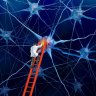 Brain Fog Basics - Managing the Cognitive Dysfunction of Fibromyalgia and ME/CFS