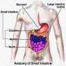 Townsend Report on Small Intestinal Bacterial Overgrowth (SIBO)
