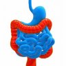 Treat small intestinal bacterial overgrowth (SIBO)