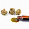 Medical Marijuana Survey Finds Fibromyalgia Tops Lists of Conditions Improved