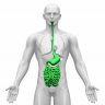 Gut Blogs on Health RIsing
