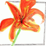 Medical Tests for Myalgic Encephalomyelitis and Chronic Fatigue Syndrome