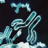 Health Rising's Chronic Fatigue Syndrome (ME/CFS) Rituximab Resource Center