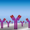 The CellTrend / Scheibenbogen Autoantibody Test for Chronic Fatigue Syndrome (ME/CFS)