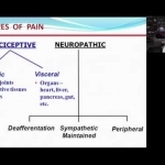Categories of Pain - Neuropathic vs. Nociceptive - YouTube