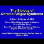 The Biology of Chronic Fatigue Syndrome - YouTube
