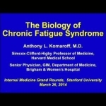 The Biology of Chronic Fatigue Syndrome - YouTube
