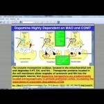 Treating Methylation Disorders - COMT and MAO - YouTube