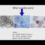 Basic Immunology: Nuts and Bolts of the Immune System - YouTube