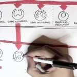 Immunology Map - Immune Cells - YouTube