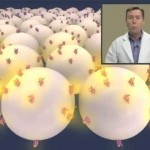 LDN (Low Dose Naltrexone) - How it Works - Animation - YouTube