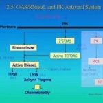 "Chronic Fatigue Syndrome: A Unifying Theory"  Charles Lapp, M.D. - YouTube