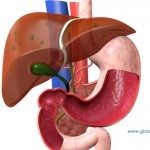 14 Foods that Cleanse the Liver - YouTube