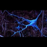 Gentle Pain - Excitatory inhibition and tactile allodynia - YouTube