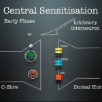 Peripheral and central sensitisation - YouTube