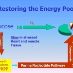 Effective Treatment for Chronic Fatigue Syndrome and Fibromyalgia - YouTube