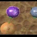 "Immune" Documentary - Part 7 - T Cells and NK Cells - YouTube