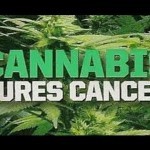 Cannabinoids in Cannabis Scientific Research & Real Facts (Full) - YouTube