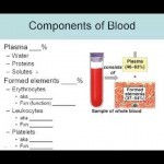 Blood Lecture 1: Introduction and blood composition - YouTube