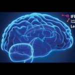 Gut bacteria and mind control: to fix your brain, fix your gut! - YouTube