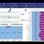 A Mitochondrial Etiology of Metabolic and Degenerative Diseases, Cancer and Aging - YouTube