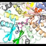 AMP activated kinase (with sound) - YouTube
