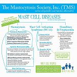 Mast Cell Diseases