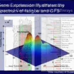 "Updates in Diagnosis and Treatment of CFS" - Dr. Lucinda Bateman - YouTube