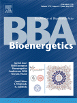 www.sciencedirect.com