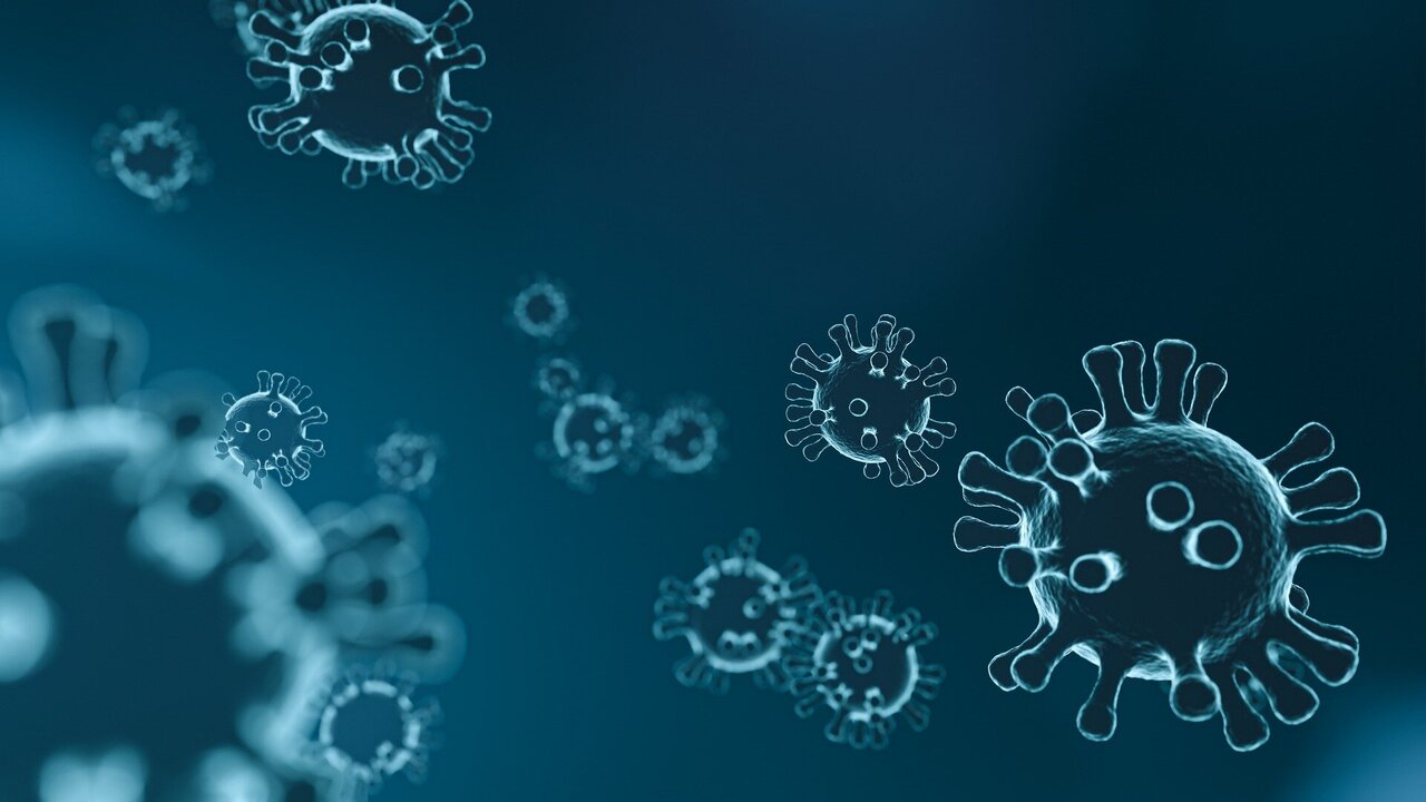 medicalxpress.com