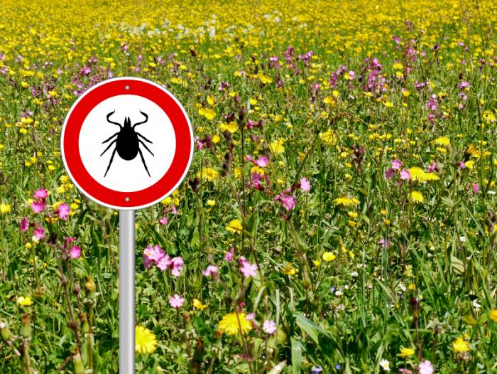 tick-warning-sign-in-a-meadow.jpg