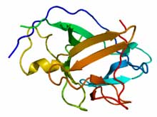 Small changes in IL-1 at rest in GWS lead to huge changes during exercise
