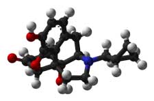 Successful Low Dose Naltrexone Fibromyalgia Trial Points to Safe, Low Cost Therapy; Implications for Chronic Fatigue Syndrome