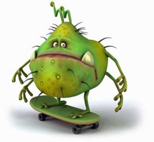 Bacteria