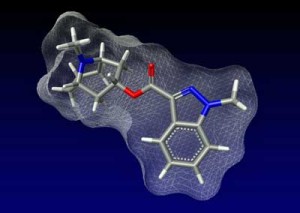 drug molecule