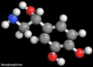 norepinephrine