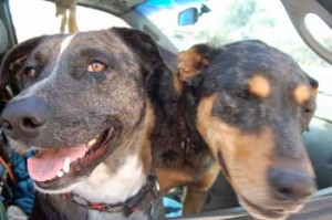 River and Skye