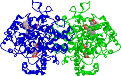 COX-2 inhibitors
