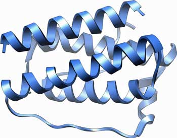 Leptin may play a role in both ME/CFS and diabetes