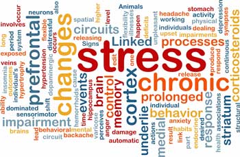 stress
