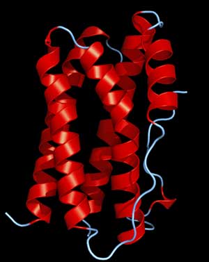 IL-6 may play a key role in producing symptoms in ME/CFS and other inflammatory disorders 