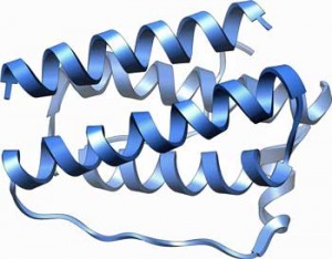 Could leptin really be it in ME/CFS?