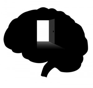 window on brain
