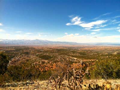 julie - new mexico