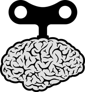 wound up brain
