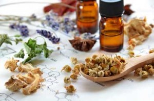 herbs
