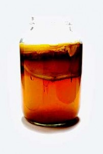 kombucha