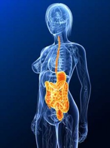 Xafaxin works in one person, fermented foods work in another and herbs work in others: the digestive system is nothing if not complex