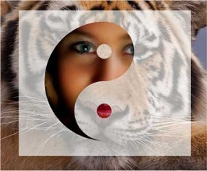 ying-yang