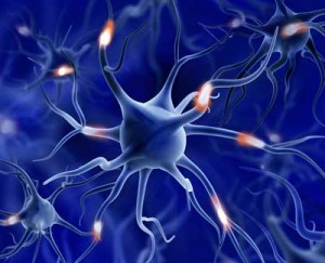 neuron